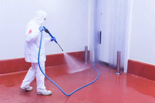 Best Paint Preparation  in University Of Virginia, VA